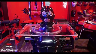 1329 bondage porn videos